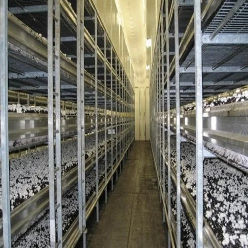 mushroom chamber 500x500 1