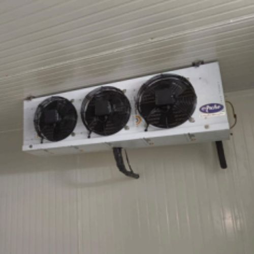 Dairy Product Cold Room 1