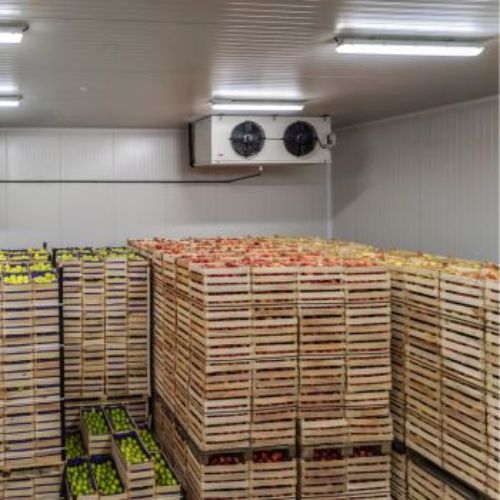 Fruits Vegetables Cold Room 1