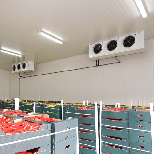 Fruits Vegetables Cold Room 3