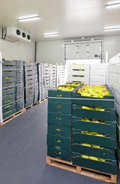 about us amrithumifresh